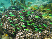 Уникальные технологии индустрии красоты